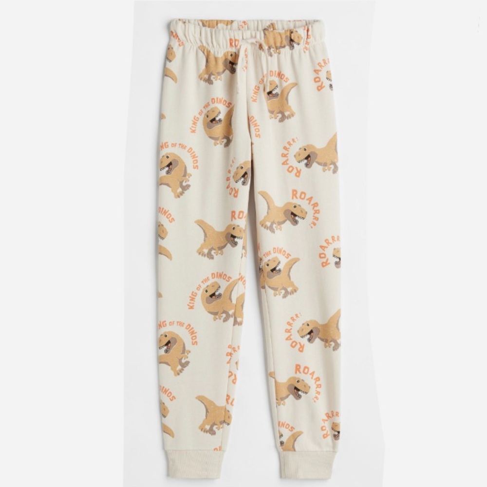 Dinosaur matching sweatpants and sweatshirt.